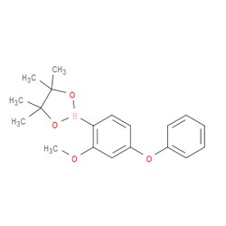 Aobchem&nbsp;4-Phenoxy-2-methoxyphenylboronic acid pinacol ester | ≥97% | CAS 1196395-39-7 | C19H23BO4 | 250mg