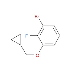 Aobchem&nbsp;1-Bromo-3-(cyclopropylmethoxy)-2-fluorobenzene | ≥95% | CAS 1369832-21-2 | C10H10BrFO | 1g