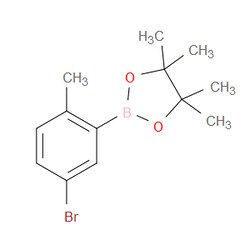Aobchem&nbsp;5-Bromo-2-methylphenylboronic acid pinacol ester | ≥97% | CAS 1192051-39-0 | C13H18BBrO2 | 500mg