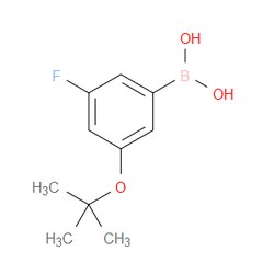 Aobchem&nbsp;3-Fluoro-5-(tert-butoxy)phenylboronic acid | ≥97% | CAS 850592-98-2 | C10H14BFO3 | 250mg