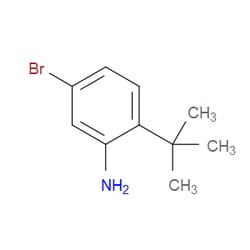Aobchem&nbsp;5-Bromo-2-(tert-butyl)aniline | ≥95% | CAS 857595-32-5 | C10H14BrN | 1g