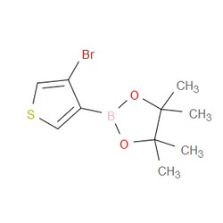 Aobchem&nbsp;2-(4Bbromothiophen-3-yl)-4 4 5 5-tetramethyl-1 3 2-dioxaborolane | ≥97% | CAS 1310404-31-9 | C10H14BBrO2S | 500mg