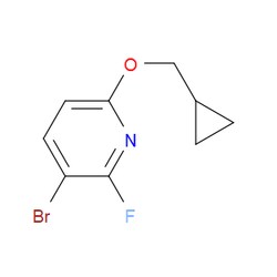 Aobchem&nbsp;3-Bromo-6-(cyclopropylmethoxy)-2-fluoropyridine | ≥95% | CAS 1881332-58-6 | C9H9BrFNO | 1g