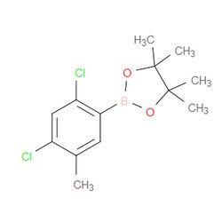 Aobchem&nbsp;2 4-Dichloro-5-methylphenylboronic acid pinacol ester | ≥97% | CAS 2121512-39-6 | C13H17BCl2O2 | 250mg