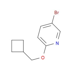 Aobchem&nbsp;5-Bromo-2-(cyclobutylmethoxy)pyridine | ≥95% | CAS 1427010-72-7 | C10H12BrNO | 1g