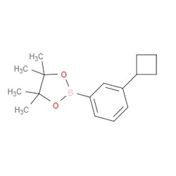 Aobchem&nbsp;3-Cyclobutylphenylboronic acid pinacol ester | ≥97% | CAS 2121514-70-1 | C16H23BO2 | 250mg
