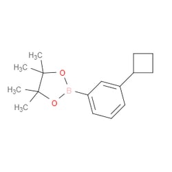 Aobchem&nbsp;3-Cyclobutylphenylboronic acid pinacol ester | ≥97% | CAS 2121514-70-1 | C16H23BO2 | 1g