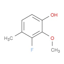 Aobchem&nbsp;3-Fluoro-2-methoxy-4-methylphenol | ≥95% | CAS 2385327-41-1 | C8H9FO2 | 250mg