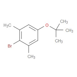 Aobchem&nbsp;2-Bromo-5-(1 1-dimethylethoxy)-1 3-dimethylbenzene | ≥95% | CAS 1309933-29-6 | C12H17BrO | 500mg