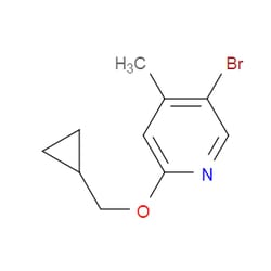 Aobchem&nbsp;5-Bromo-2-(cyclopropylmethoxy)-4-methylpyridine | ≥97% | CAS 1600268-01-6 | C10H12BrNO | 1g