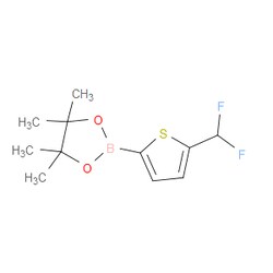 Aobchem&nbsp;2-[5-(Difluoromethyl)-2-thienyl]-4 4 5 5-tetramethyl-1 3 2-dioxaborolane | 95% | CAS 2568559-54-4 | C11H15BF2O2S | 1g
