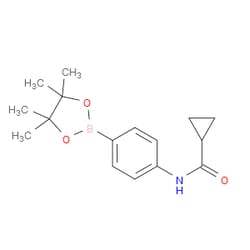 Aobchem&nbsp;N-[4-(4 4 5 5-Tetramethyl-1 3 2-dioxaborolan-2-yl)phenyl]cyclopropanecarboxamide | ≥95% | CAS 1031747-45-1 | C16H22BNO3 | 500mg