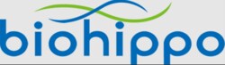 BIOHIPPO&nbsp;Phospho-SIRT1 Ser47 rAb W-R71