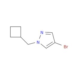 Aobchem&nbsp;4-Bromo-1-(cyclobutylmethyl)-1H-pyrazole | ≥97% | CAS 1216096-92-2 | C8H11BrN2 | 250mg