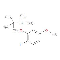 Aobchem&nbsp;Tert-butyl(2-fluoro-5-methoxyphenoxy)dimethylsilane | ≥97% | CAS 1350551-58-4 | C13H21FO2Si | 250mg