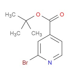 Aobchem&nbsp;Tert-butyl 2-bromoisonicotinate | ≥95% | CAS 887579-30-8 | C10H12BrNO2 | 5g