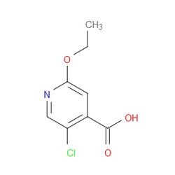 Aobchem&nbsp;5-Chloro-2-ethoxypyridine-4-carboxylic acid | ≥97% | CAS 1593360-08-7 | C8H8ClNO3 | 5g