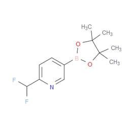 Aobchem&nbsp;2-(Difluoromethyl)-5-(4 4 5 5-tetramethyl-1 3 2-dioxaborolan-2-yl)pyridine | ≥95% | CAS 1220696-57-0 | C12H16BF2NO2 | 250mg