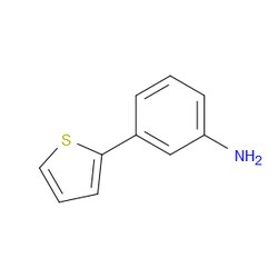 Aobchem&nbsp;3-(2-Thienyl)benzenamine | ≥97% | CAS 92057-12-0 | C10H9NS | 1g