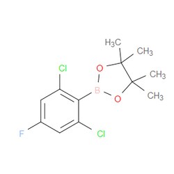 Aobchem&nbsp;2 6-Dichloro-4-fluorophenylboronic acid pinacol ester | ≥97% | CAS 2121514-25-6 | C12H14BCl2FO2 | 500mg