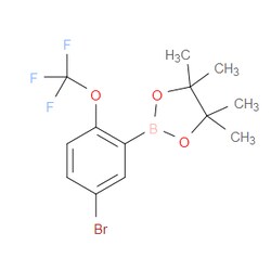 Aobchem&nbsp;5-Bromo-2-trifluoromethoxyphenylboronic acid pinacol ester | ≥97% | CAS 2121515-02-2 | C13H15BBrF3O3 | 1g