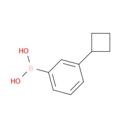 Aobchem&nbsp;3-Cyclobutylphenylboronic acid | ≥95% | CAS 1381885-38-6 | C10H13BO2 | 250mg