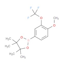 Aobchem&nbsp;2-(4-Methoxy-3-(trifluoromethoxy)phenyl)-4 4 5 5-tetramethyl-1 3 2-dioxaborolane | ≥95% | CAS 1005009-96-0 | C14H18BF3O4 | 1g