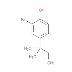 Aobchem&nbsp;2-Bromo-4-(1 1-dimethylpropyl)phenol | ≥97% | CAS 18966-64-8 | C11H15BrO | 1g