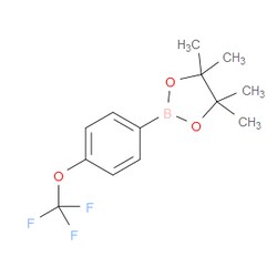 Aobchem&nbsp;4-(Trifluoromethoxy)phenylboronic acid pinacol ester | ≥97% | CAS 474709-28-9 | C13H16BF3O3 | 5g