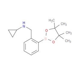 Aobchem&nbsp;N-(2-(4 4 5 5-tetramethyl-1 3 2-dioxaborolan-2-yl)benzyl)cyclopropanamine | ≥97% | CAS 1150271-52-5 | C16H24BNO2 | 500mg