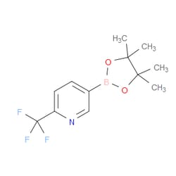 Aobchem&nbsp;2-Trifluoromethylpyridine-5-boronic acid pinacol ester | ≥97% | CAS 1218790-39-6 | C12H15BF3NO2 | 5g