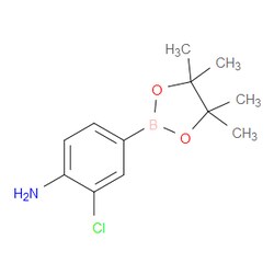 Aobchem&nbsp;4-Amino-3-chlorobenzeneboronic acid  pinacol ester | ≥97% | CAS 721960-43-6 | C12H17BClNO2 | 5g