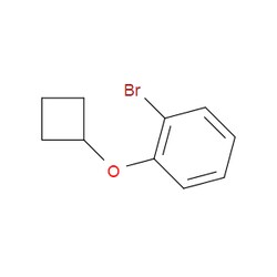 Aobchem&nbsp;1-Bromo-2-cyclobutoxybenzene | ≥97% | CAS 1350640-81-1 | C10H11BrO | 1g