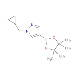 Aobchem&nbsp;1-Cyclopropylmethyl-1H-pyrazole-4-boronic acid  pinacol ester | ≥95% | CAS 1000801-75-1 | C13H21BN2O2 | 5g