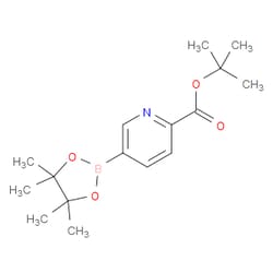 Aobchem&nbsp;Tert-butyl 5-(tetramethyl-1 3 2-dioxaborolan-2-yl)pyridine-2-carboxylate | ≥95% | CAS 1354356-24-3 | C16H24BNO4 | 5g
