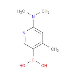 Aobchem&nbsp;2-(Dimethylamino)-4-methylpyridine-5-boronic acid | ≥95% | CAS 535934-70-4 | C8H13BN2O2 | 5g