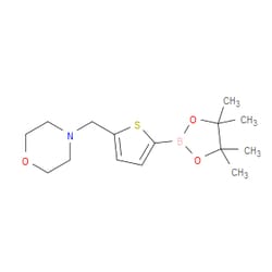 Aobchem&nbsp;5-(4-Morpholinylmethyl)thiophene-2-boronic acid pinacol ester | ≥97% | CAS 950603-39-1 | C15H24BNO3S | 5g