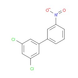 Aobchem&nbsp;1 3-Dichloro-5-(3-nitrophenyl)benzene | ≥97% | CAS 859940-64-0 | C12H7Cl2NO2 | 1g