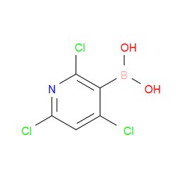Aobchem&nbsp;(2 4 6-Trichloropyridin-3-yl)boronic acid | 97% | C5H3BCl3NO2 | 1g