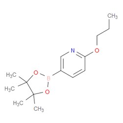 Aobchem&nbsp;2-Propoxy-5-(4 4 5 5-tetramethyl-1 3 2-dioxaborolan-2-yl)pyridine | ≥95% | CAS 1257553-85-7 | C14H22BNO3 | 500mg