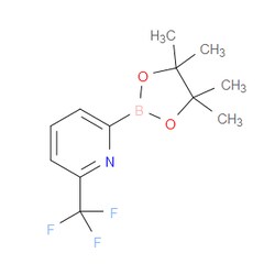 Aobchem&nbsp;6-(Trifluoromethyl)pyridine-2-boronic acid pinacol ester | ≥95% | CAS 881402-16-0 | C12H15BF3NO2 | 250mg