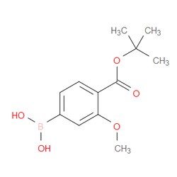 Aobchem&nbsp;1-(1 1-Dimethylethyl) 4-borono-2-methoxybenzoate | ≥97% | CAS 1812890-16-6 | C12H17BO5 | 500mg