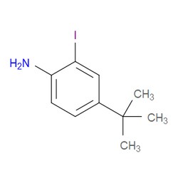 Aobchem&nbsp;4-Tert-Butyl-2-iodo-aniline | ≥95% | CAS 128318-63-8 | C10H14IN | 10g