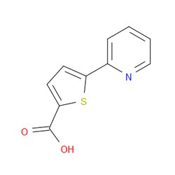Aobchem&nbsp;5-(Pyridin-2-yl)thiophene-2-carboxylic acid | ≥95% | CAS 119082-97-2 | C10H7NO2S | 500mg
