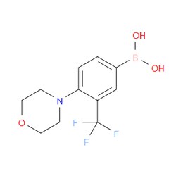 Aobchem&nbsp;(4-Morpholino-3-(trifluoromethyl)phenyl)boronic acid | ≥95% | CAS 1335304-43-2 | C11H13BF3NO3 | 250mg