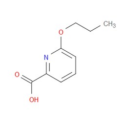 Aobchem&nbsp;6-Propoxypicolinic acid | ≥95% | CAS 1249545-27-4 | C9H11NO3 | 250mg