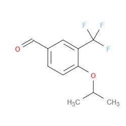 Aobchem&nbsp;4-Isopropoxy-3-(trifluoromethyl)benzaldehyde | ≥97% | CAS 1289092-04-1 | C11H11F3O2 | 250mg