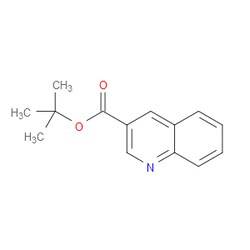Aobchem&nbsp;Tert-butyl quinoline-3-carboxylate | ≥97% | CAS 403605-44-7 | C14H15NO2 | 1g