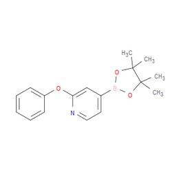 Aobchem&nbsp;2-Phenoxypyridine-4-boronic acid pinacol ester | ≥97% | CAS 2096331-18-7 | C17H20BNO3 | 5g