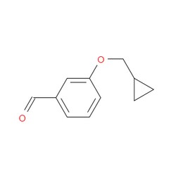 Aobchem&nbsp;3-(Cyclopropylmethoxy)benzaldehyde | ≥97% | CAS 58986-61-1 | C11H12O2 | 5g